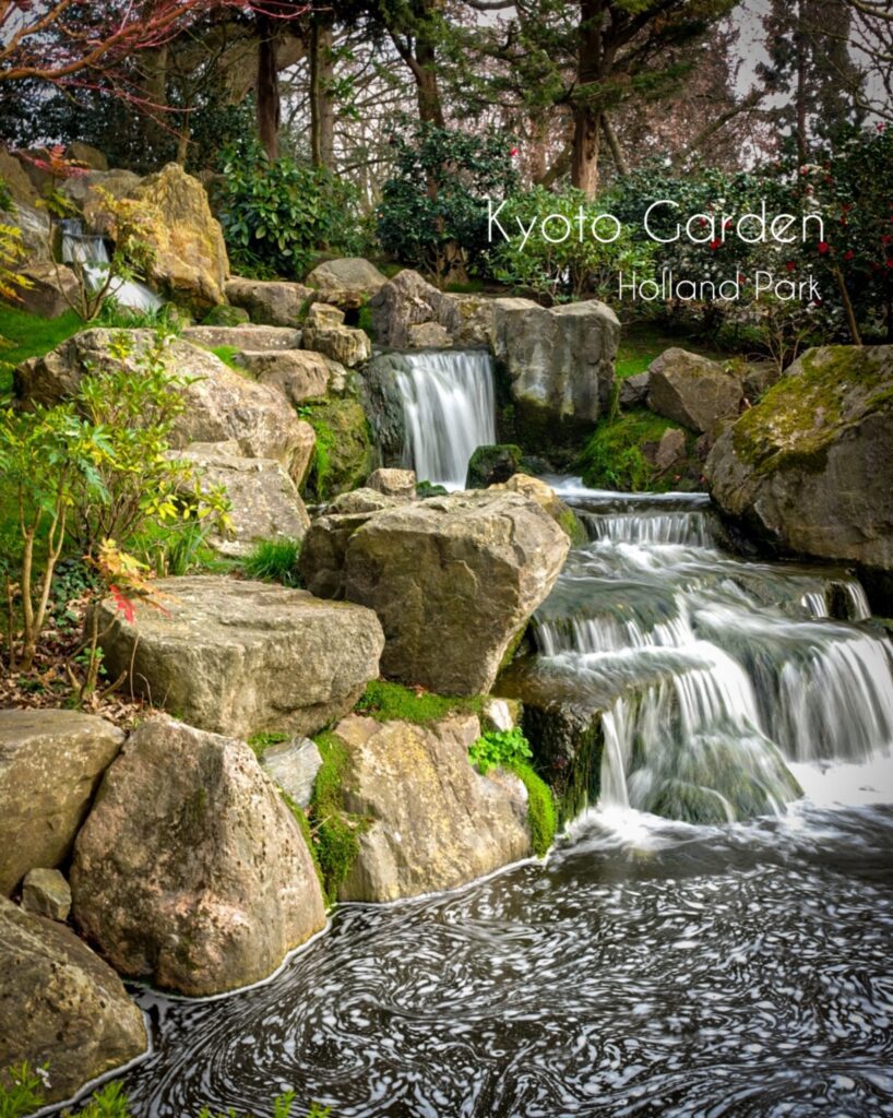 In the secret Japanese garden in Holland Park, Kensington, you can discover cherry blossom as well as a beautiful waterfall. Walk across the stone bridge to get the best views of the rushing waters.