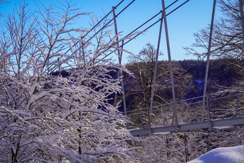 Germany's longest suspension bridge is located directly next to snow-capped trees, set against a backdrop of a bright blue sky.