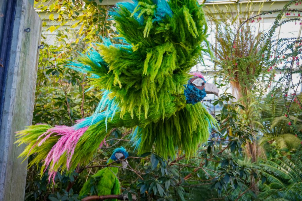 A green, blue and pink perky parrot is suspended from the ceiling of the glasshouse at the Kew Gardens Orchid Festival in 2025- flora and fauna of Peru.