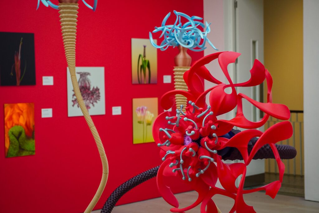 Along a backdrop of a red wall are different paintings and prints, in glass frames. In the centre of the gallery is a three-dimensional sculpture, structured out of plastic, with black stems and red petals simulating flowers.