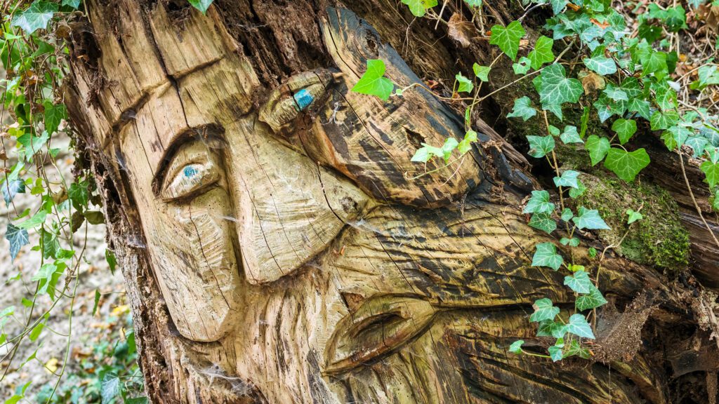 Along the woodland walk in Darup you can expect to find faces carved out of tree stumps. This is located next to the Hohlweg Kugelbahn on the St James' Way walking route.
